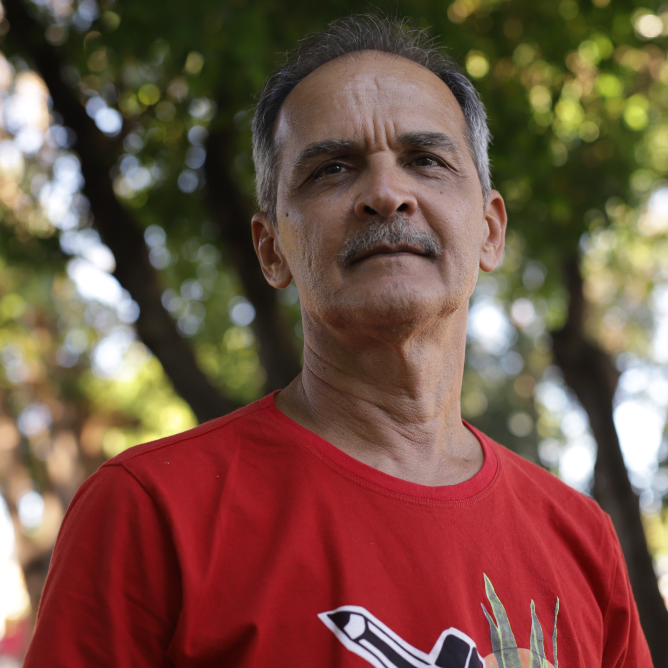 domingos.garcia@unemat.br